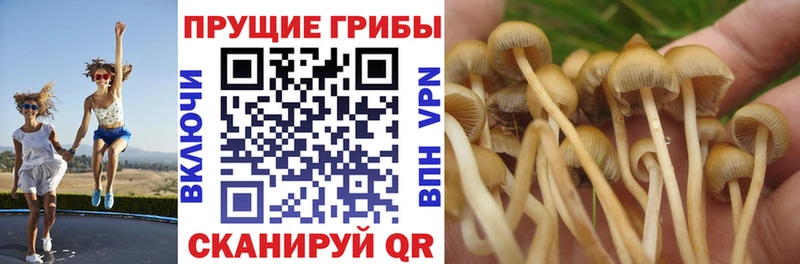 Галлюциногенные грибы ЛСД Купить закладки Короча