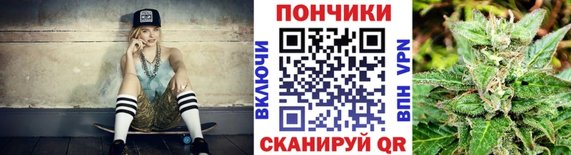 Шишки марихуана SATIVA & INDICA  Купить закладки  Короча 